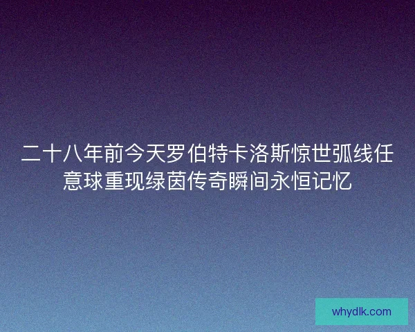 二十八年前今天罗伯特卡洛斯惊世弧线任意球重现绿茵传奇瞬间永恒记忆