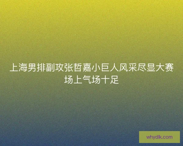 上海男排副攻张哲嘉小巨人风采尽显大赛场上气场十足