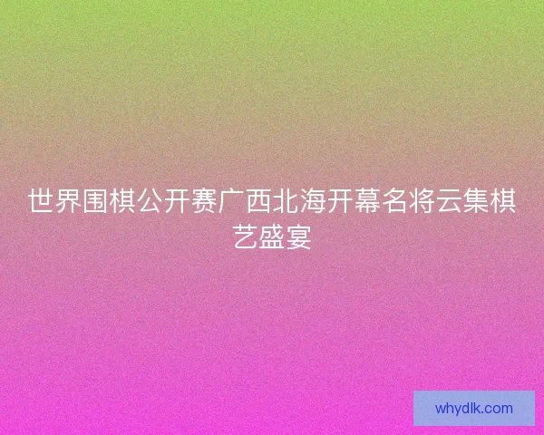 世界围棋公开赛广西北海开幕名将云集棋艺盛宴
