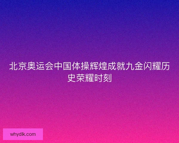 北京奥运会中国体操辉煌成就九金闪耀历史荣耀时刻